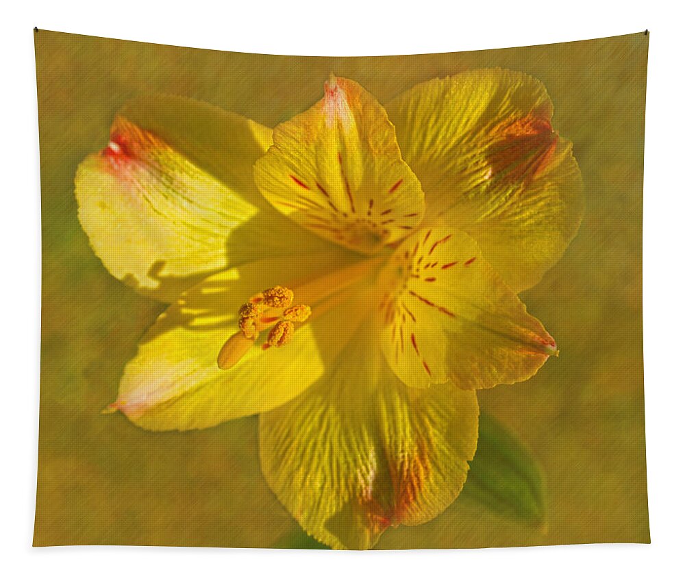 Lily Of Peru Tapestry featuring the photograph Peruvian Lily by Sandi OReilly
