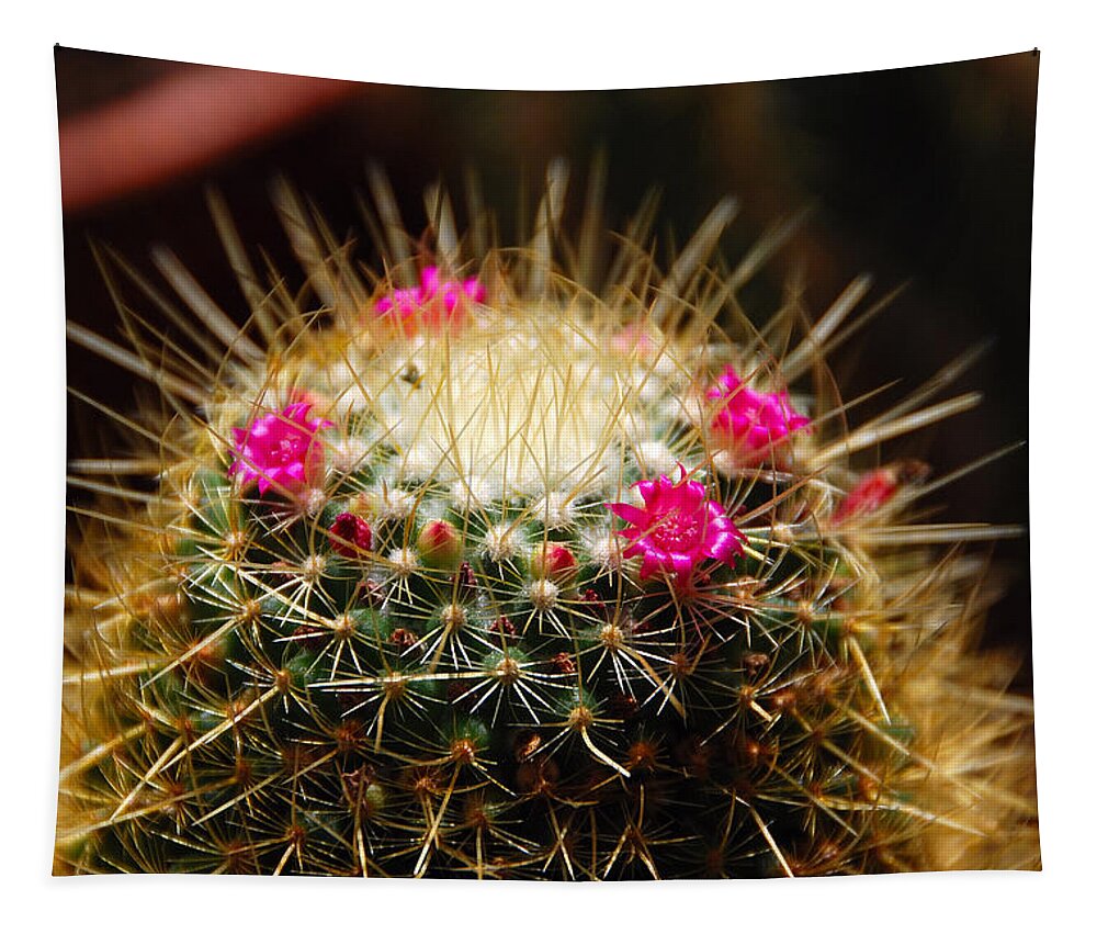 Cactus Tapestry featuring the photograph Petite Cactus by John Schneider