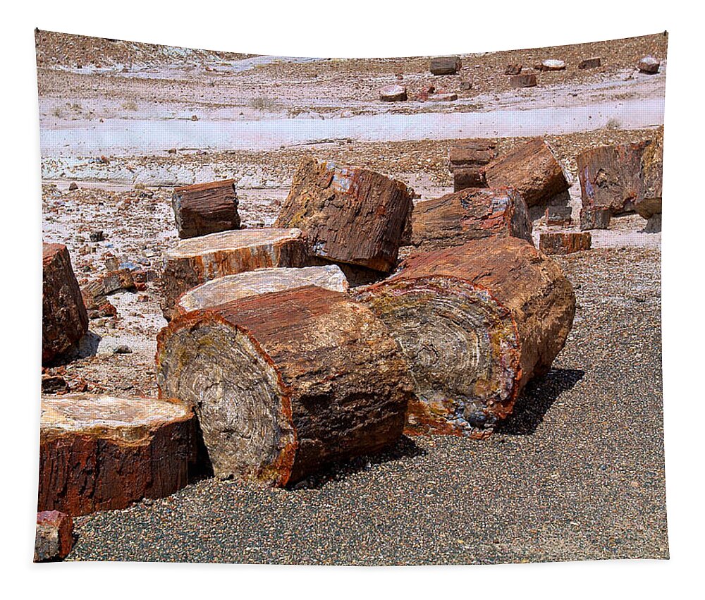 Petrified Tapestry featuring the photograph Petrified Forest 4 by Richard J Cassato