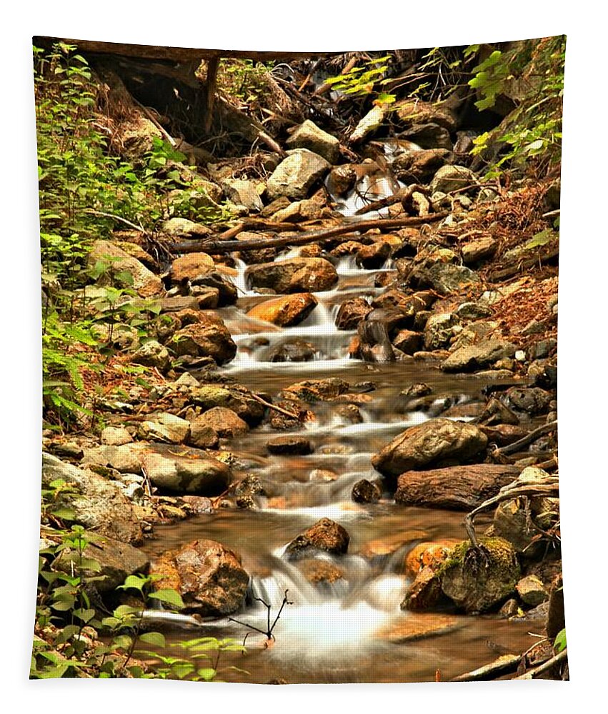 Waterfall Tapestry featuring the photograph Pfeiffer Burns Waterfall Creek by Adam Jewell