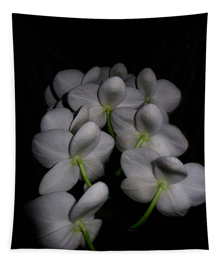 Phalaenopsis Tapestry featuring the photograph Phalaenopsis Backs by Joyce Dickens