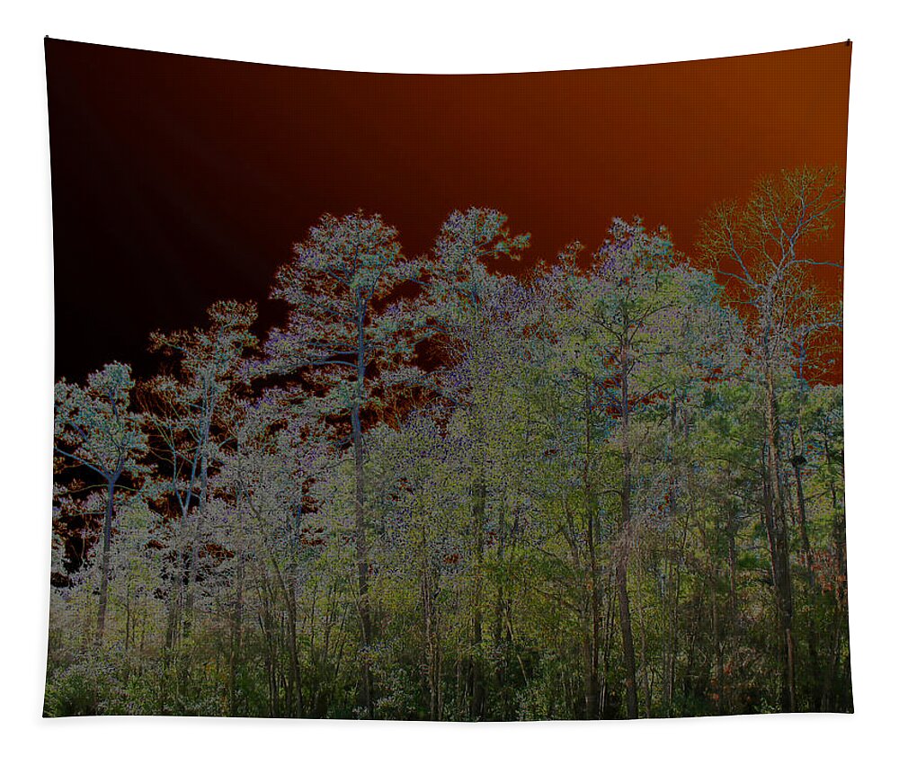 Abstract Tapestry featuring the photograph Pine Forest by Connie Fox