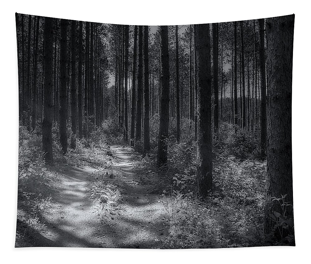 Trees Tapestry featuring the photograph Pine Grove by Scott Norris