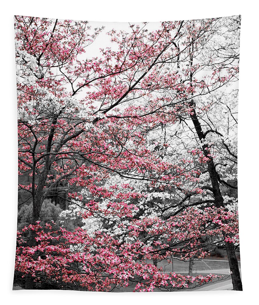 Pink Dogwoods Tapestry featuring the photograph Pink and White Dogwood Trees by Sharon Popek
