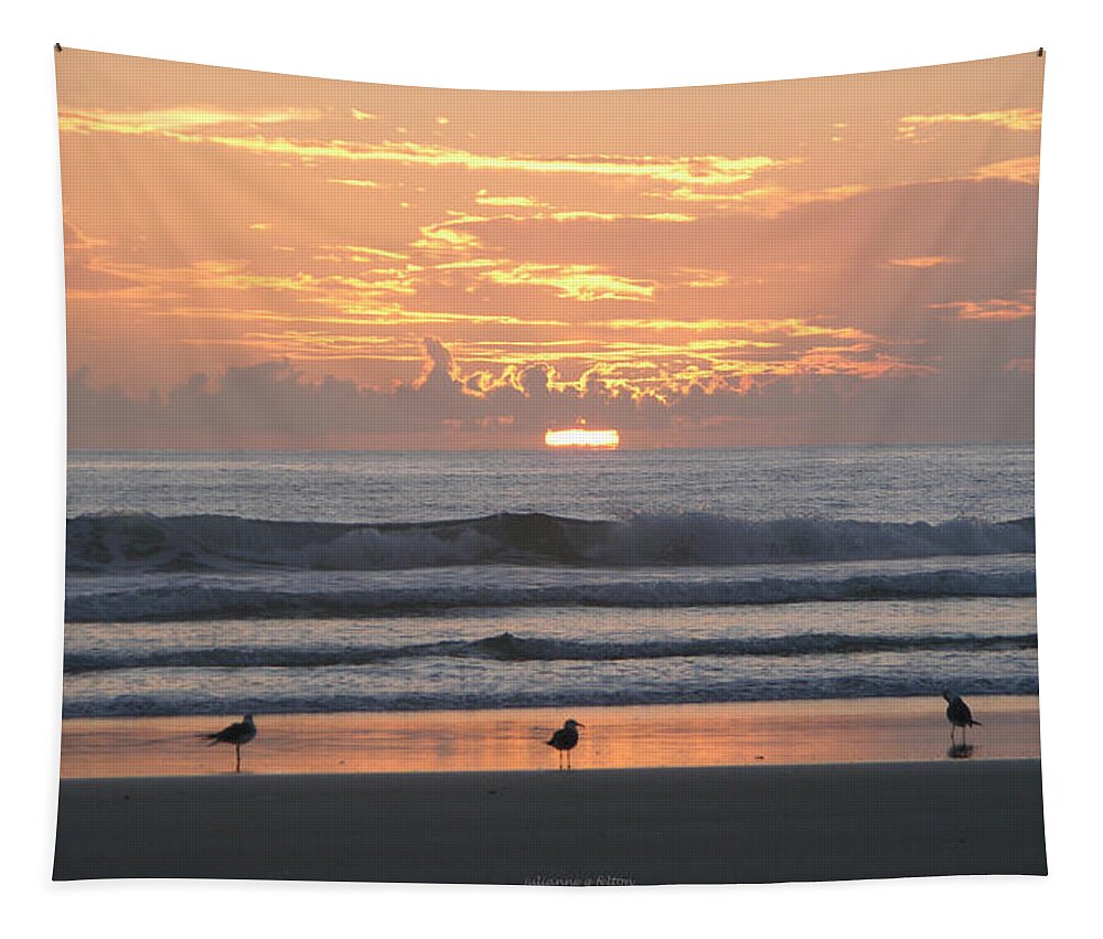 Beautiful Beach Sunrise Photographs Tapestry featuring the photograph Pink beach sunrise with seabirds by Julianne Felton