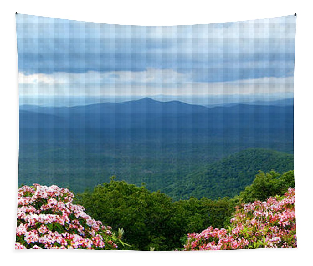 Pink Beds Tapestry featuring the photograph Pink Beds in the Summer by Duane McCullough