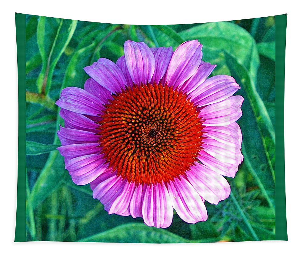 Pink_daisy_petals_center_nature_natural_flower_jan Marvin Tapestry featuring the photograph Pink Daisy by Jan Marvin by Jan Marvin