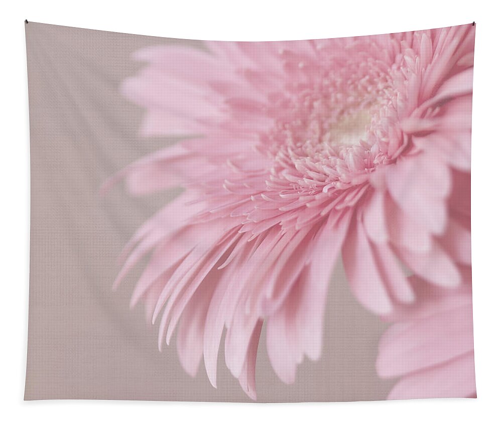 Pink Flower Tapestry featuring the photograph Pink Delight by Kim Hojnacki