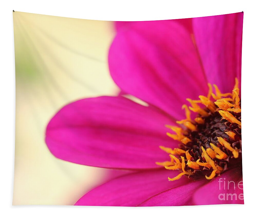 Beautiful Tapestry featuring the photograph Pink Flower by Amanda Mohler