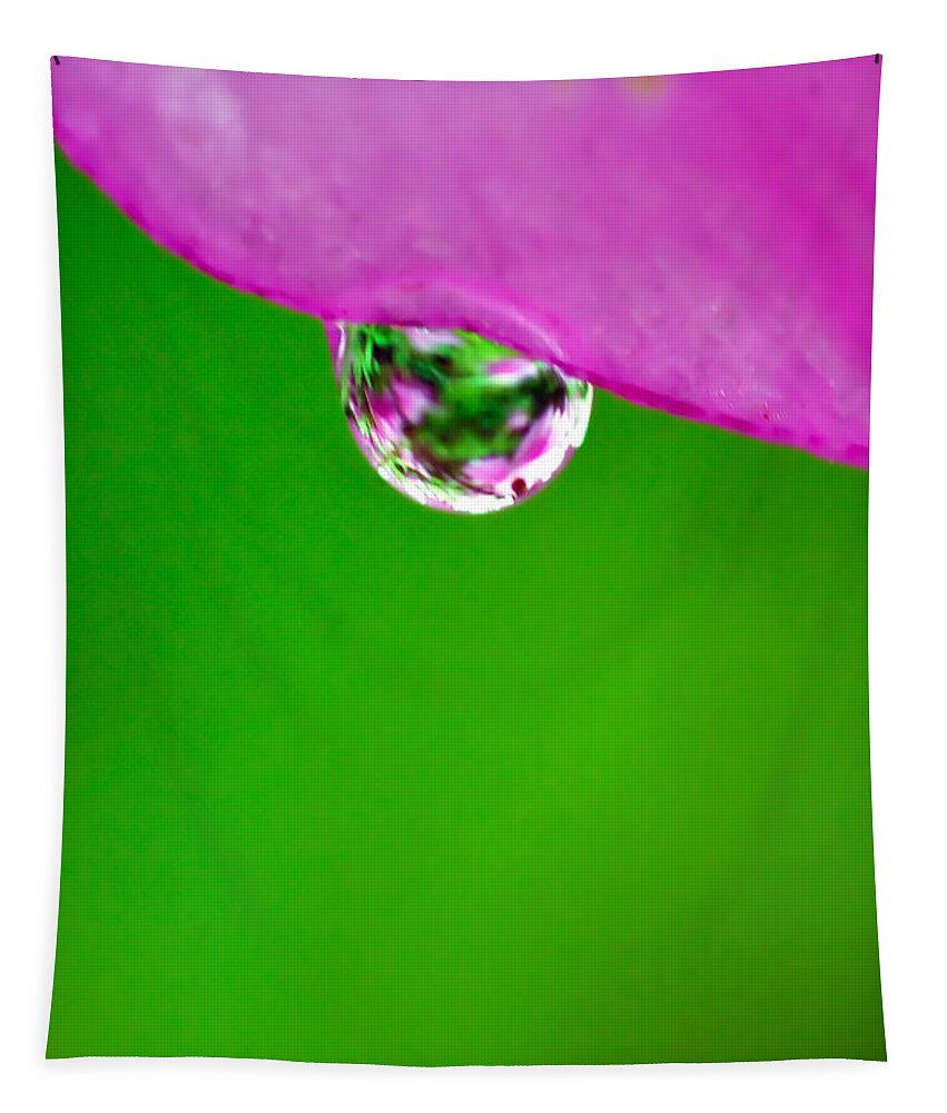 Pink Flower Tapestry featuring the photograph Pink Green Raindrop by Crystal Wightman
