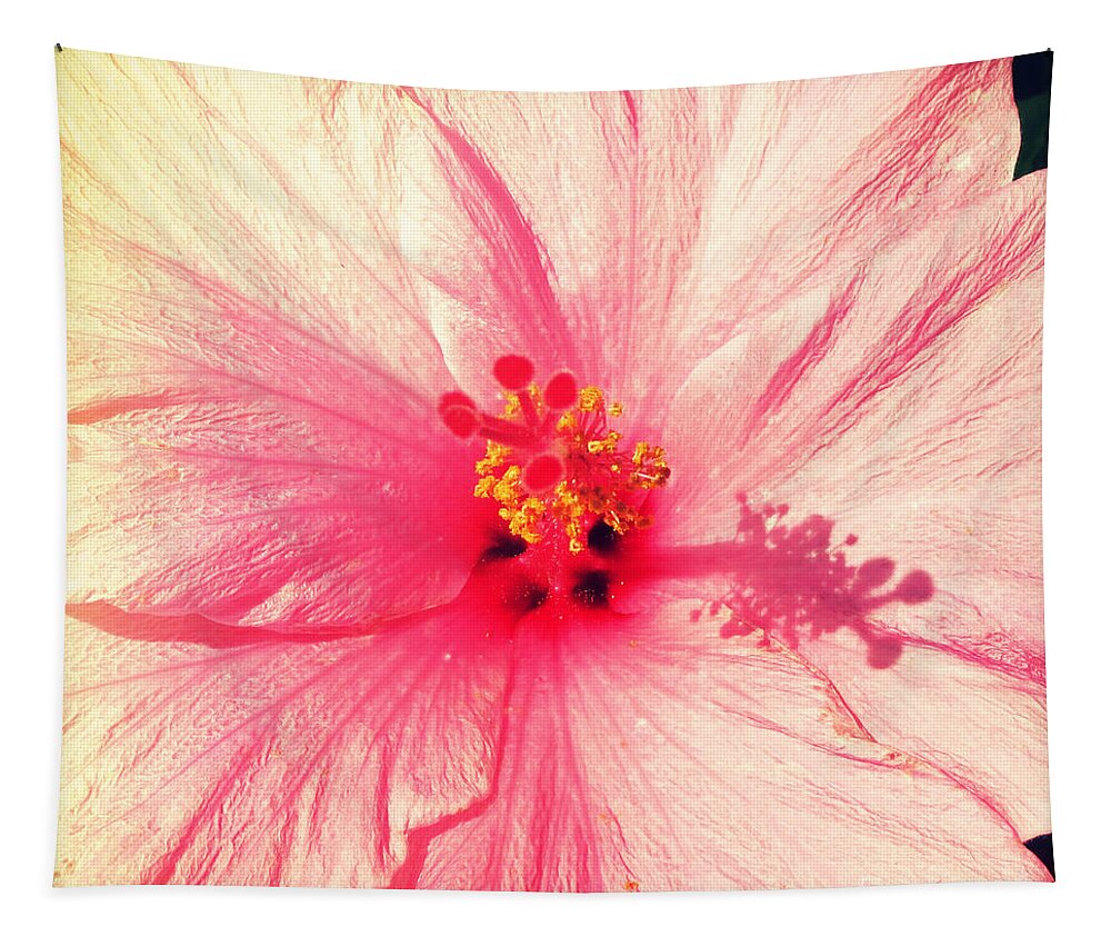 Florida Tapestry featuring the photograph Pink Hibiscus by Chris Andruskiewicz