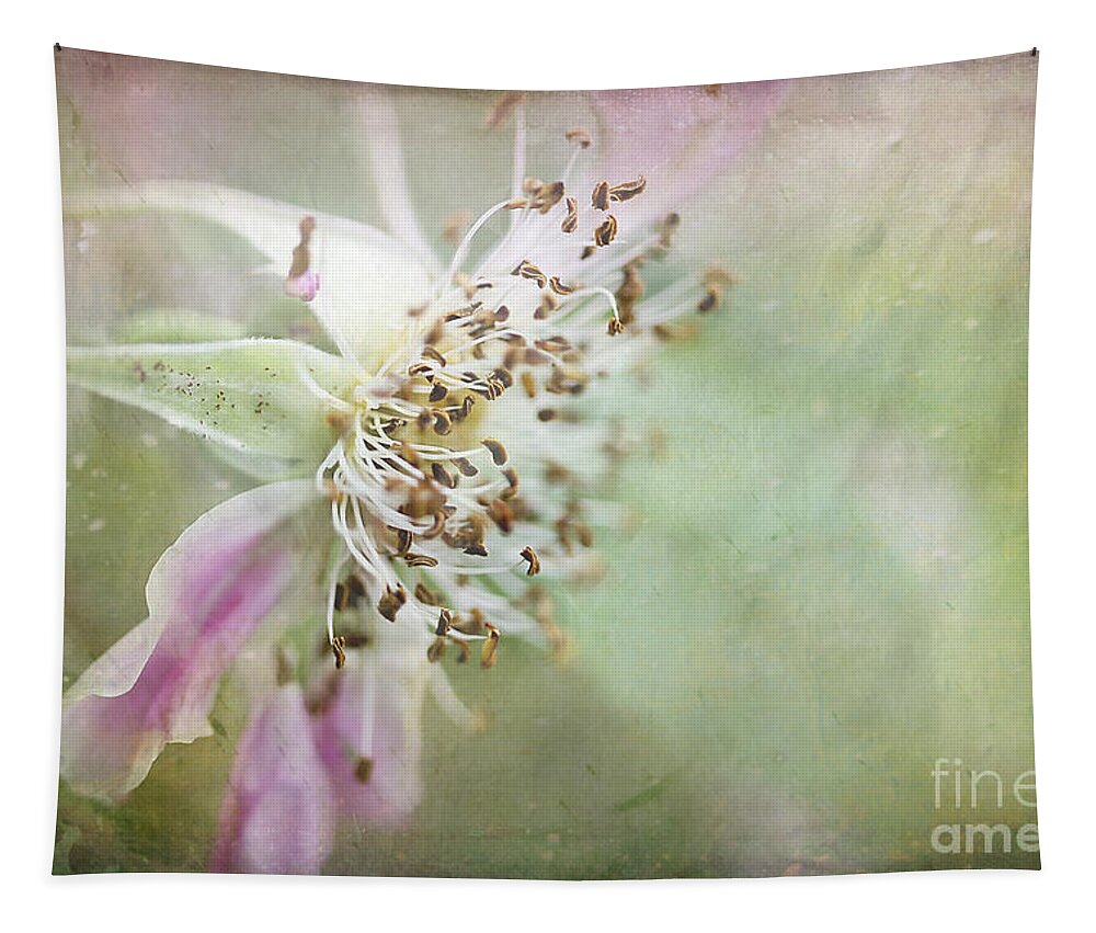 Flower Tapestry featuring the photograph Pink Impression by Teresa Zieba