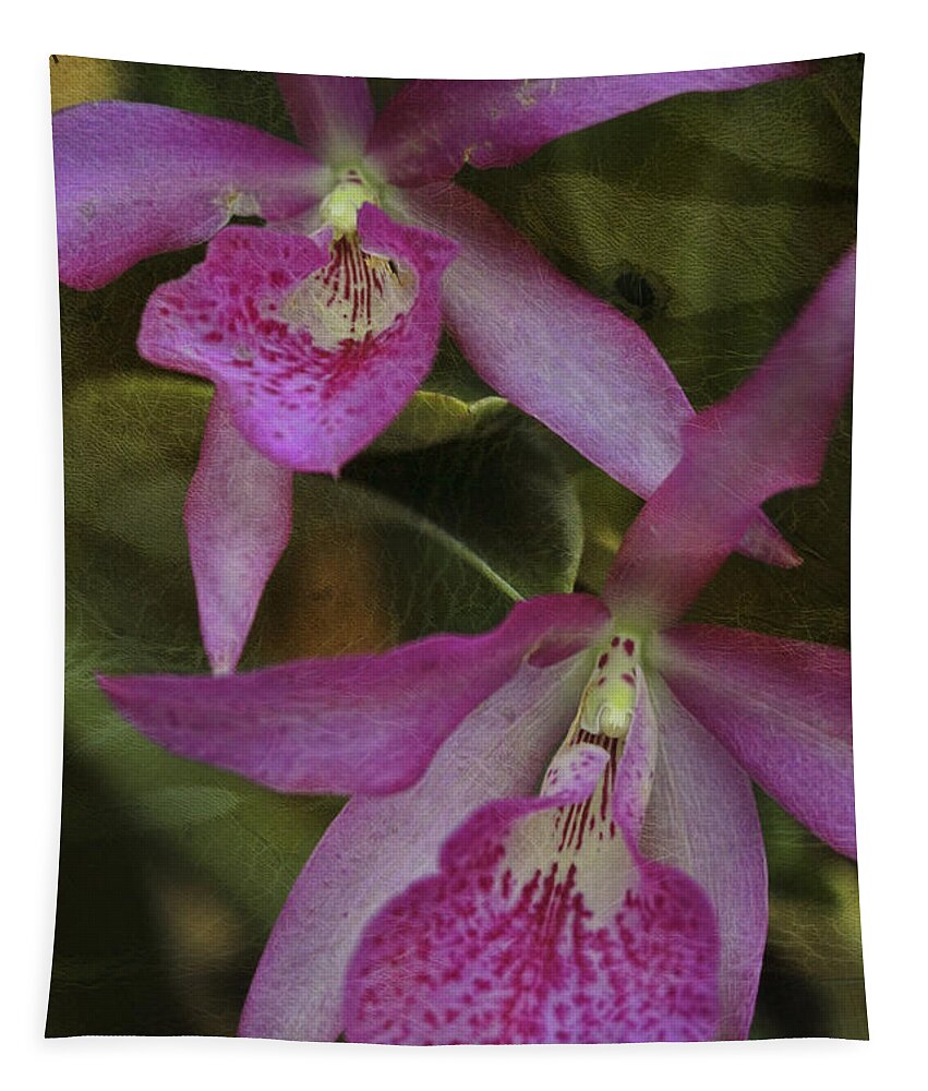 Orchid Tapestry featuring the photograph Pink Leopard by Deborah Benoit