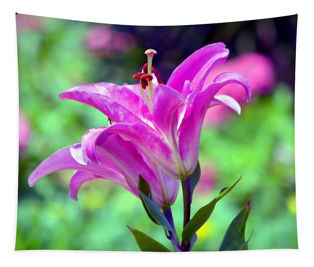 Lily Tapestry featuring the photograph Pink Lilies by Deena Stoddard