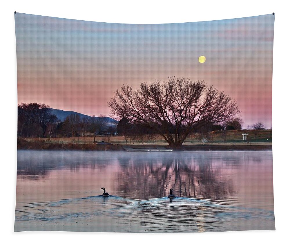 Sunrise Tapestry featuring the photograph Pink morning by Lynn Hopwood