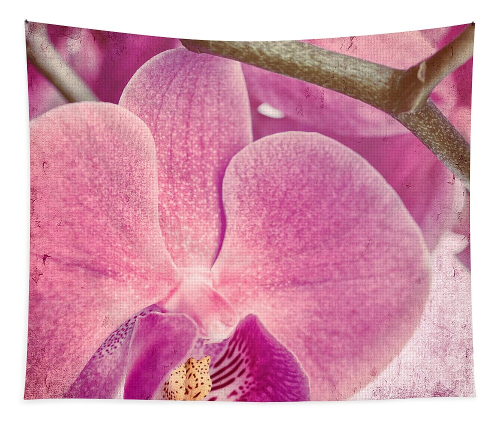 Orchid Tapestry featuring the photograph Pink Orchids 3 by Sabine Jacobs