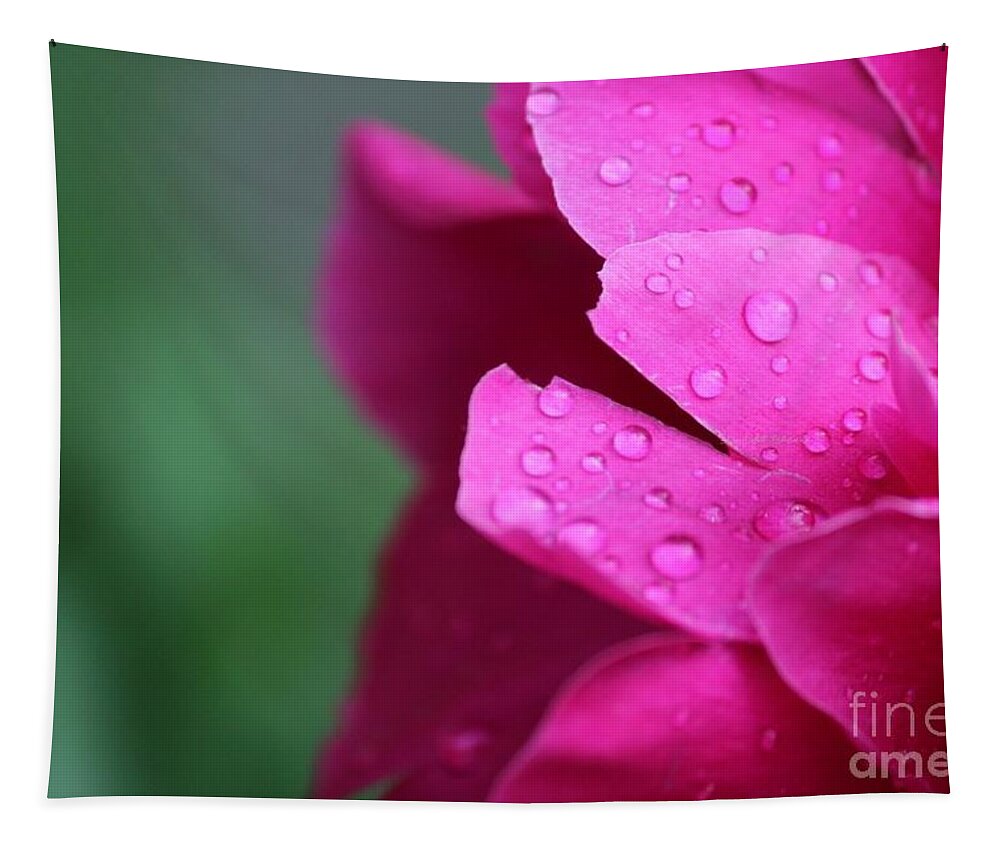 Pink Tapestry featuring the photograph Pink Peony by Ann E Robson