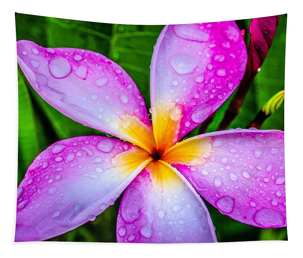 Pink Plumeria Tapestry featuring the photograph Pink Plumeria by TK Goforth