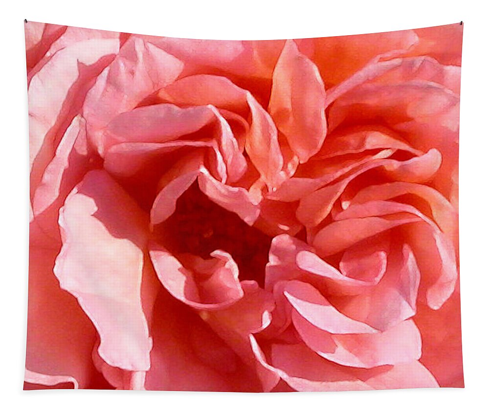 Rose Tapestry featuring the photograph Pink Rose Closeup by Anne Cameron Cutri
