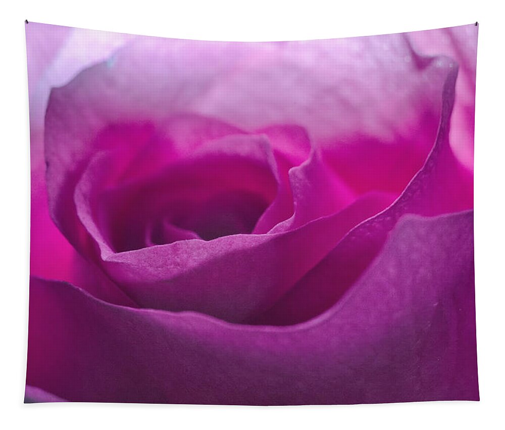 Flower Tapestry featuring the photograph Pink Rose by Jim Shackett