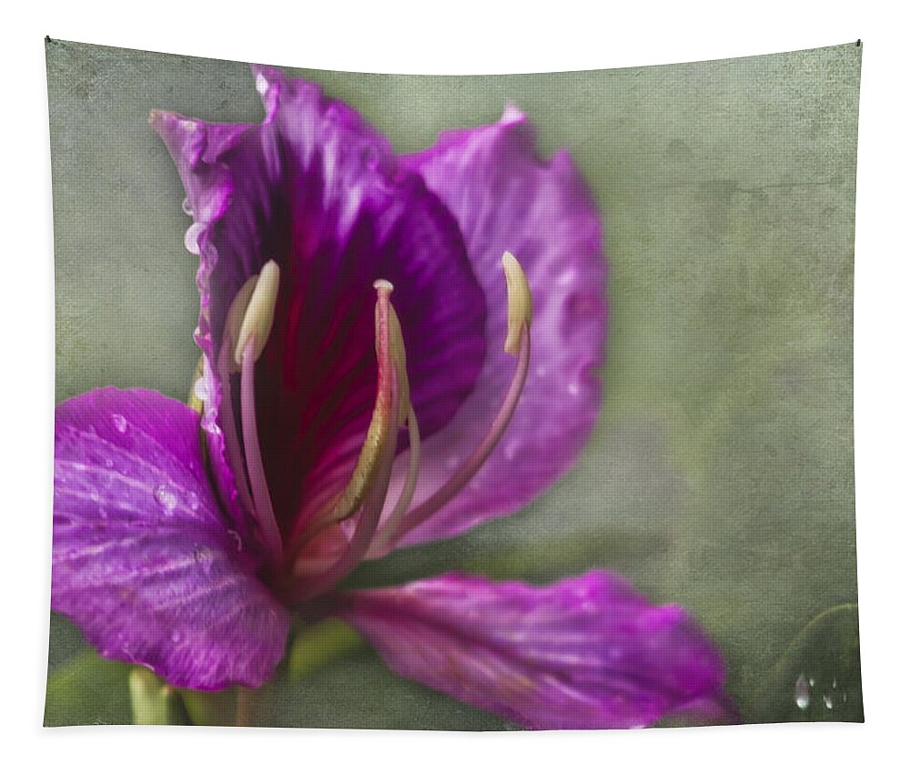 Pink Tropical Flower Tapestry featuring the photograph Pink Tropical Flower by Belinda Greb