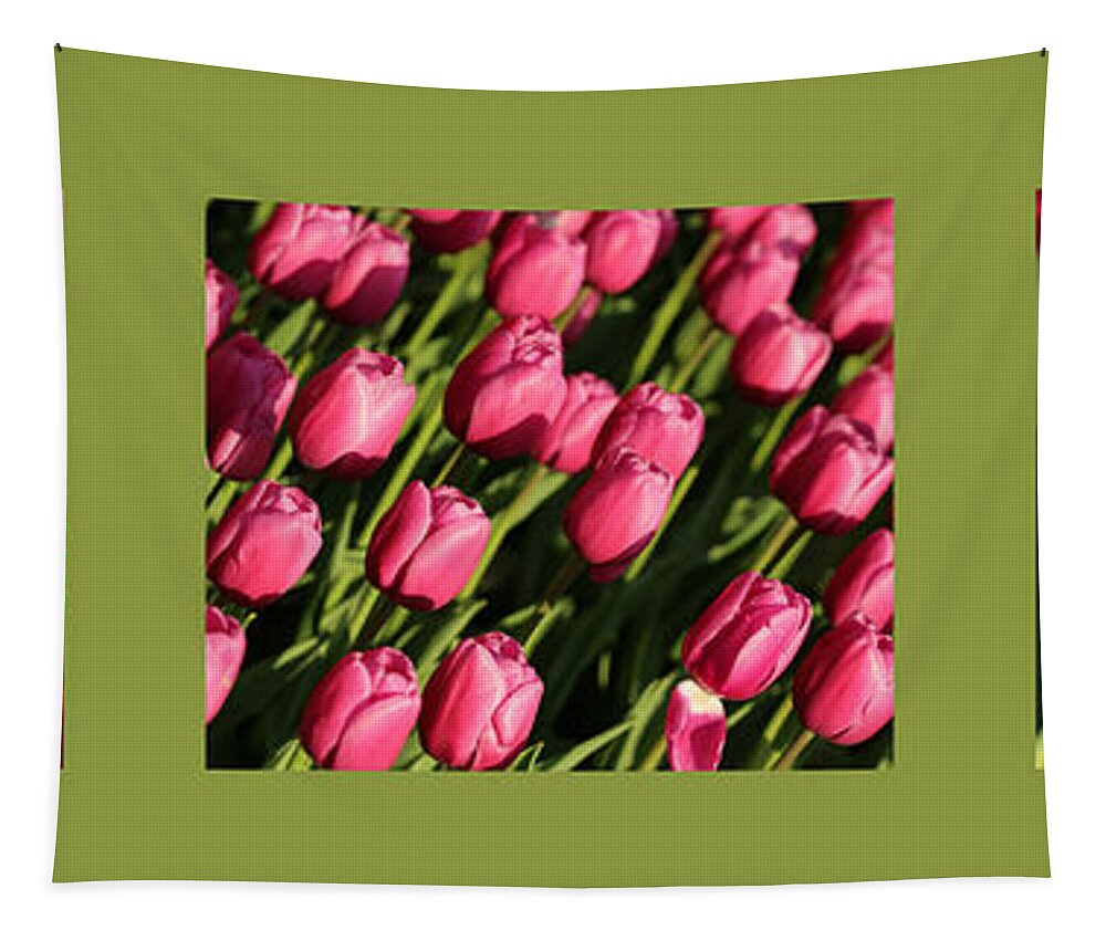 Pink Tulips Tapestry featuring the photograph Pink Tulips in Green Triptych by Carol Groenen