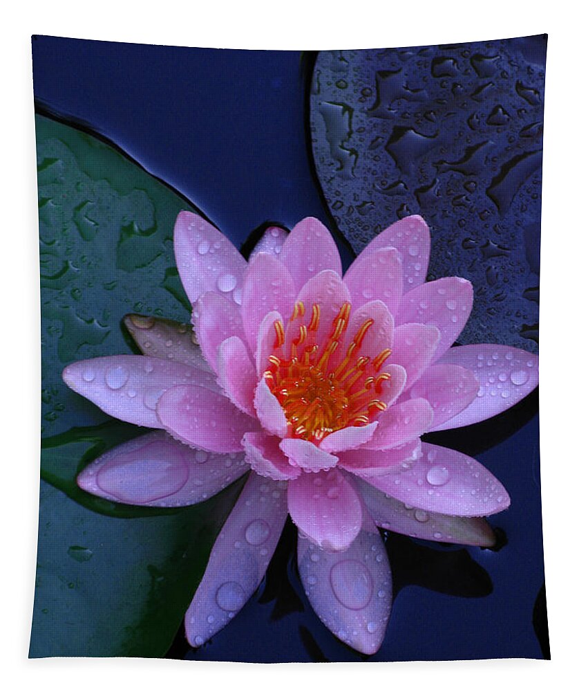 Waterlily Tapestry featuring the photograph Pink Waterlily by Raymond Salani III