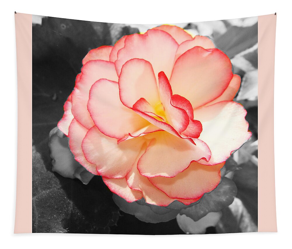 Begonia Tapestry featuring the mixed media Red Edged White Begonia by Stacie Siemsen