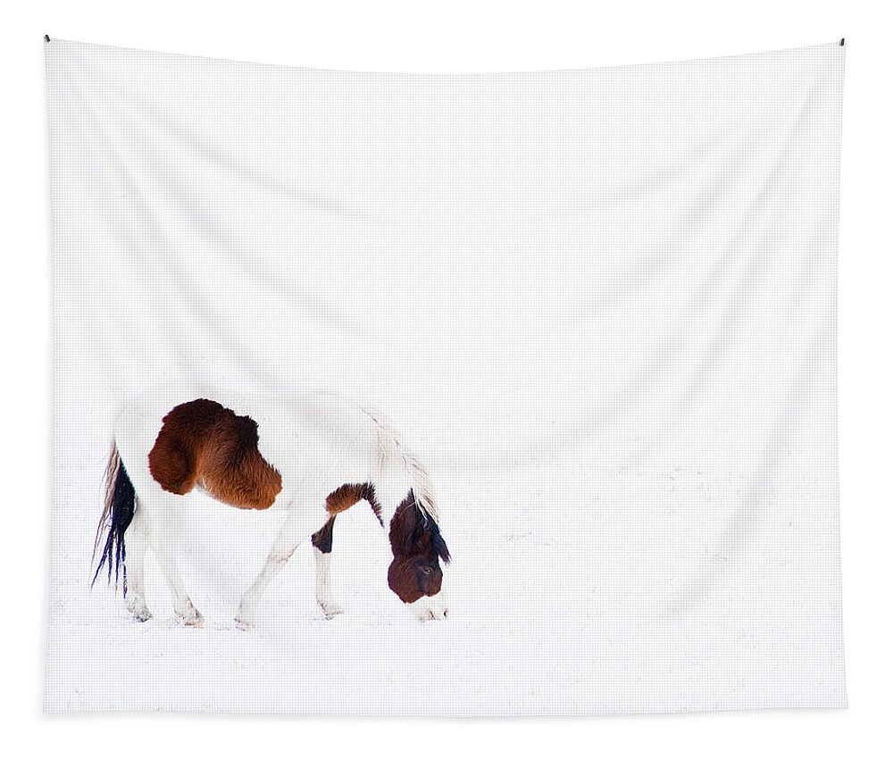 Small Horse Tapestry featuring the photograph Pinto Pony by Theresa Tahara