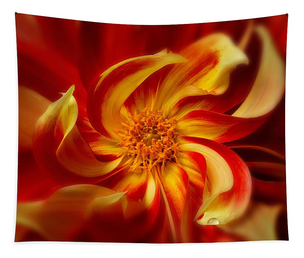 Background Tapestry featuring the photograph Pinwheel by Mary Jo Allen