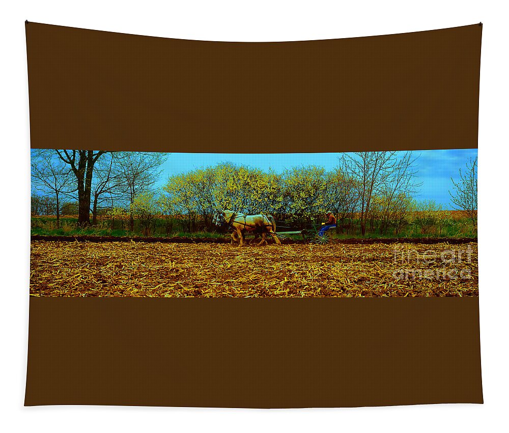Plow Tapestry featuring the photograph Plow days Freeport Illinos  by Tom Jelen