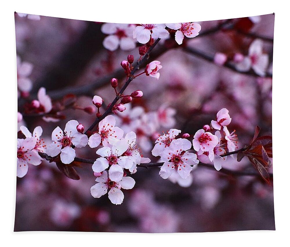 Plum Tapestry featuring the photograph Plum blossoms by Lynn Hopwood
