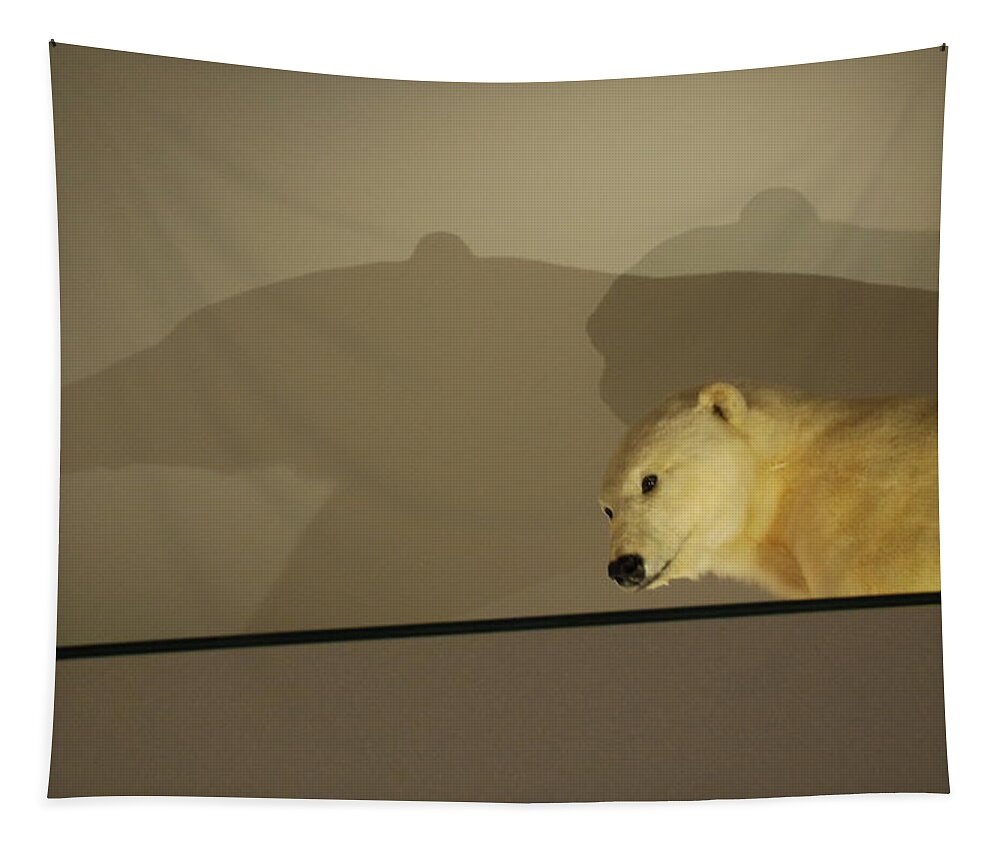 Natural History Tapestry featuring the photograph Polar Bear Shadows by Kenny Glover