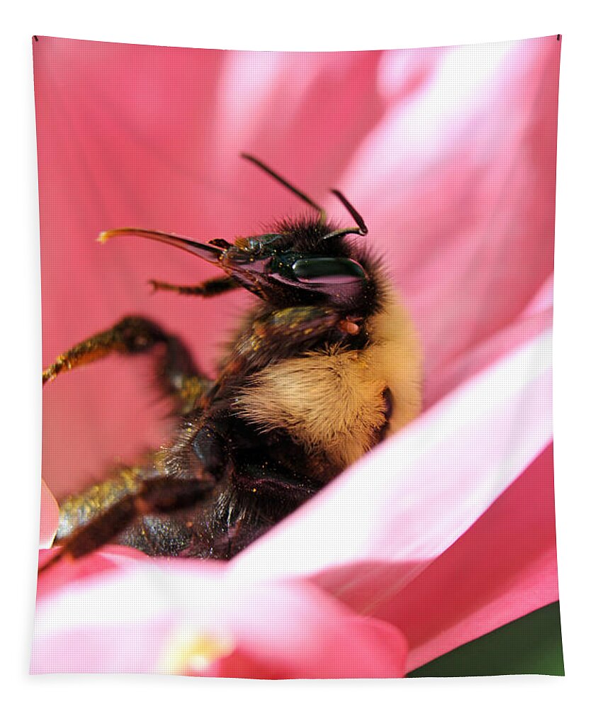 Insects Tapestry featuring the photograph 'Pollen High' by Jennifer Robin
