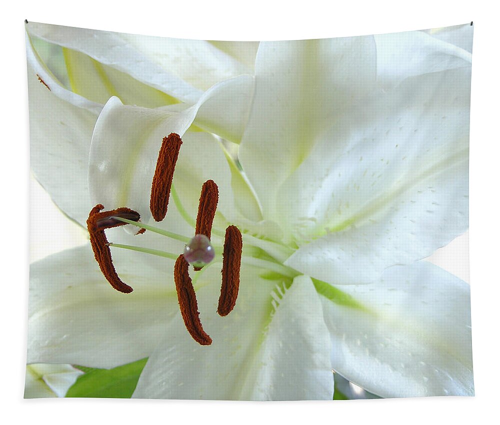 Photography Tapestry featuring the photograph Pollinated white tiger lily by Julianne Felton