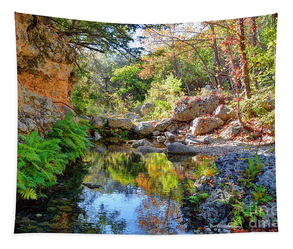 Hint Of Fall Tapestry featuring the photograph Pond at lost Maples by Savannah Gibbs