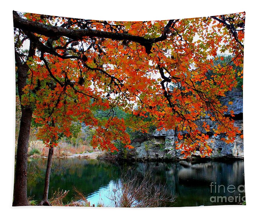 Pond Tapestry featuring the photograph Fall at Lost Maples State Natural Area by Michael Tidwell