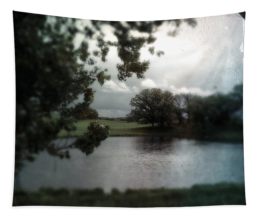 Vintage Tapestry featuring the photograph Pond On Lake Elmo Road by Tim Nyberg