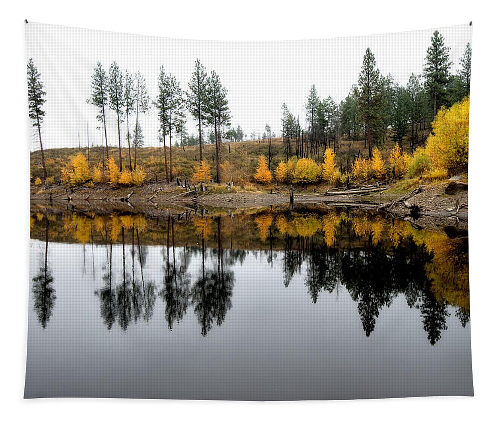 Reflections Tapestry featuring the photograph Pond Reflections in Autumn by Allan Van Gasbeck