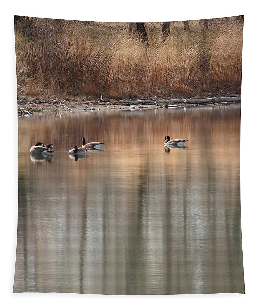 Landscape Tapestry featuring the photograph Pond Reflections by Kae Cheatham