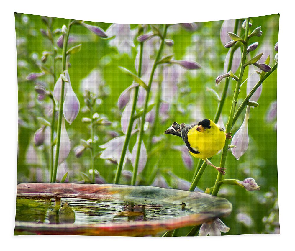 Bird Tapestry featuring the photograph Poolside Perch by Bill Pevlor