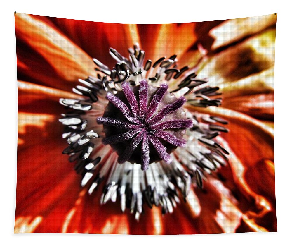 Poppy Tapestry featuring the photograph Poppy - Macro Fine Art Photography by Marianna Mills