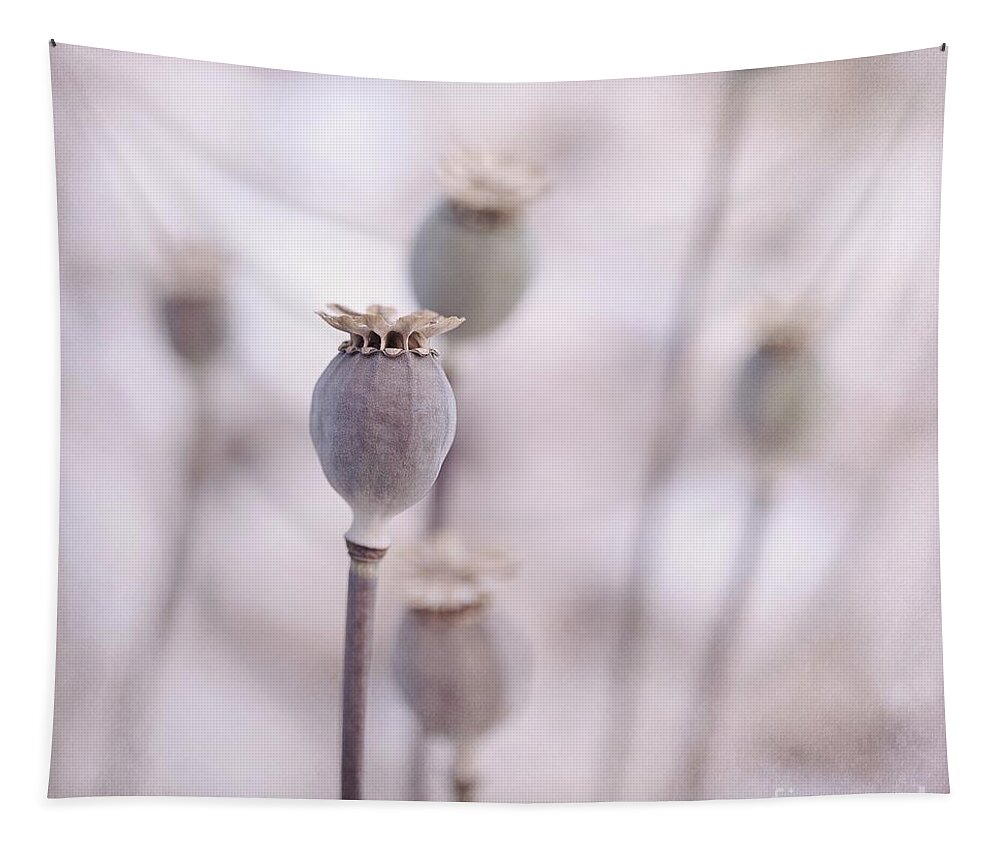 Poppy Tapestry featuring the photograph Poppy Queens by Priska Wettstein