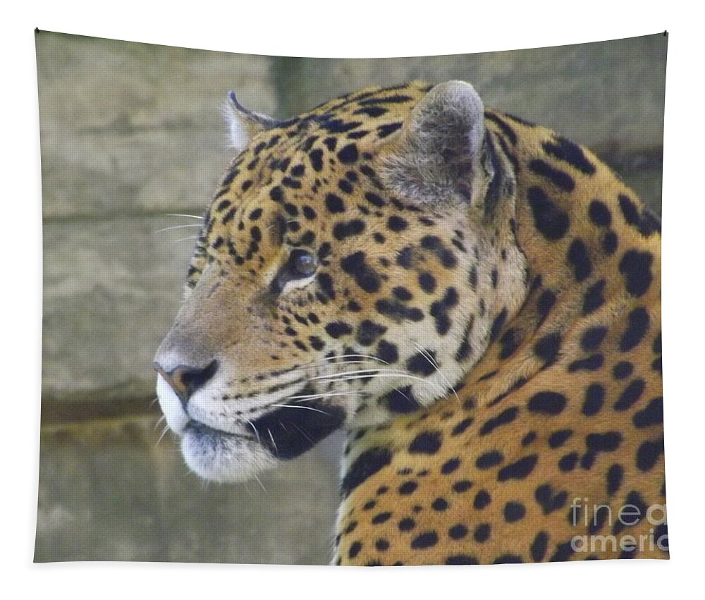 Animal Tapestry featuring the photograph Portrait of A Jaguar by Lingfai Leung