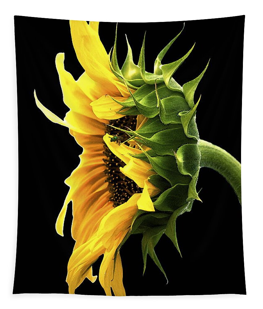 Sunflower Tapestry featuring the photograph Portrait of a Sunflower by Gwyn Newcombe
