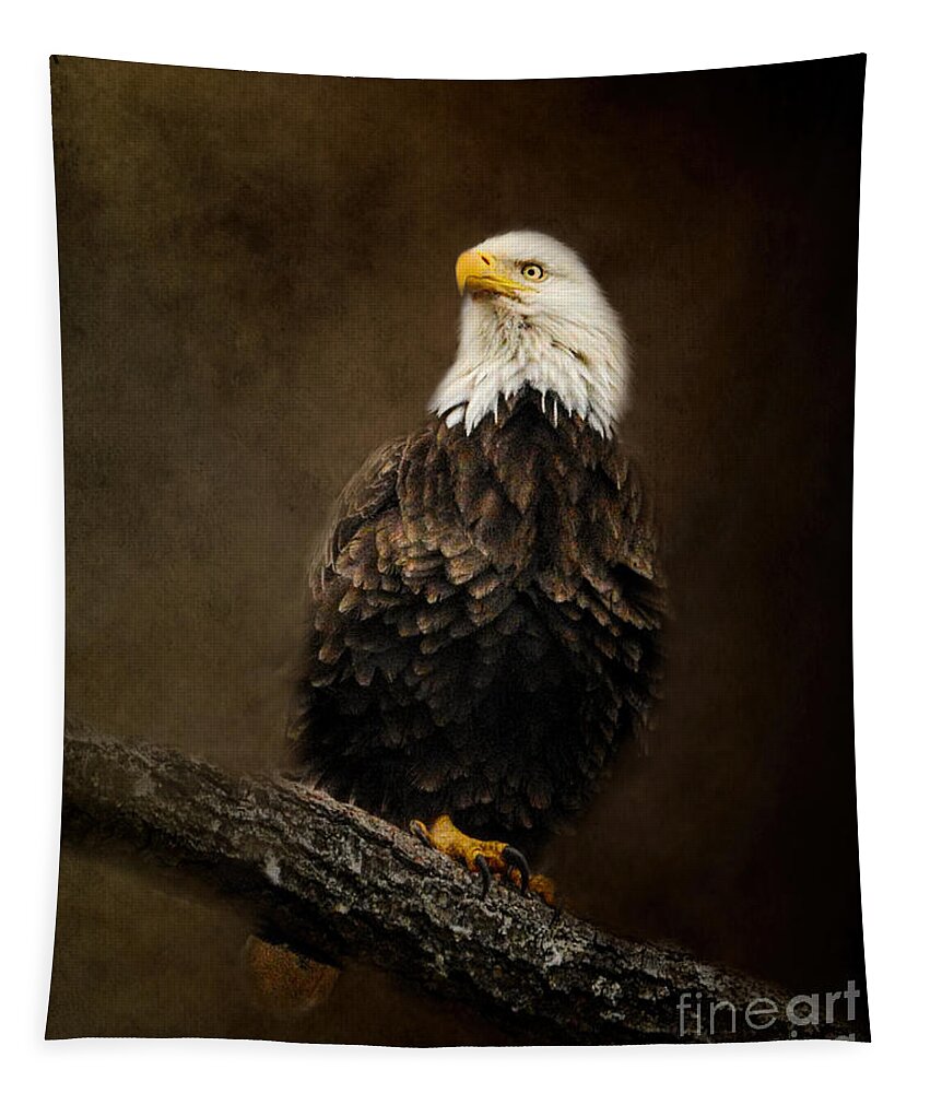 Usa Tapestry featuring the photograph Portrait Of An Eagle by Jai Johnson