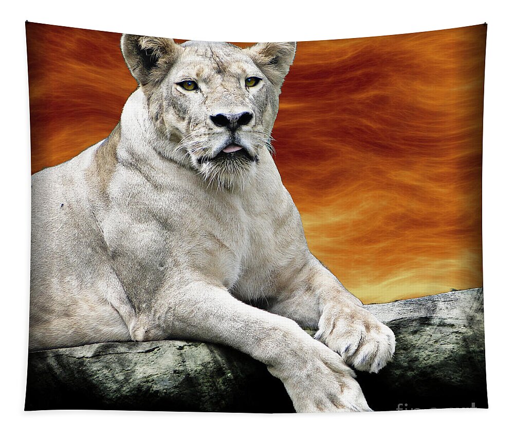 Lioness Tapestry featuring the photograph Posing Lioness by Ben Yassa