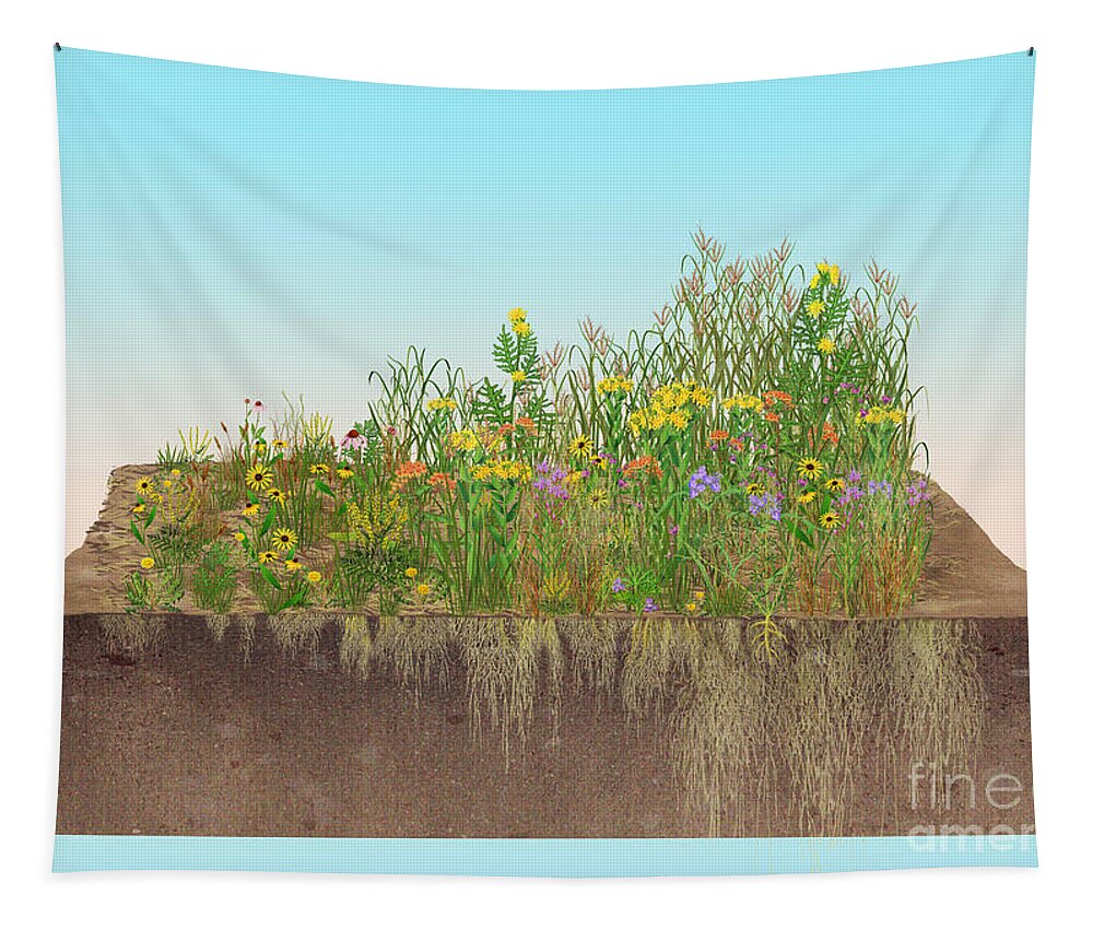 Prairie Tapestry featuring the photograph Prairie Plants Succession, Illustration by Carlyn Iverson
