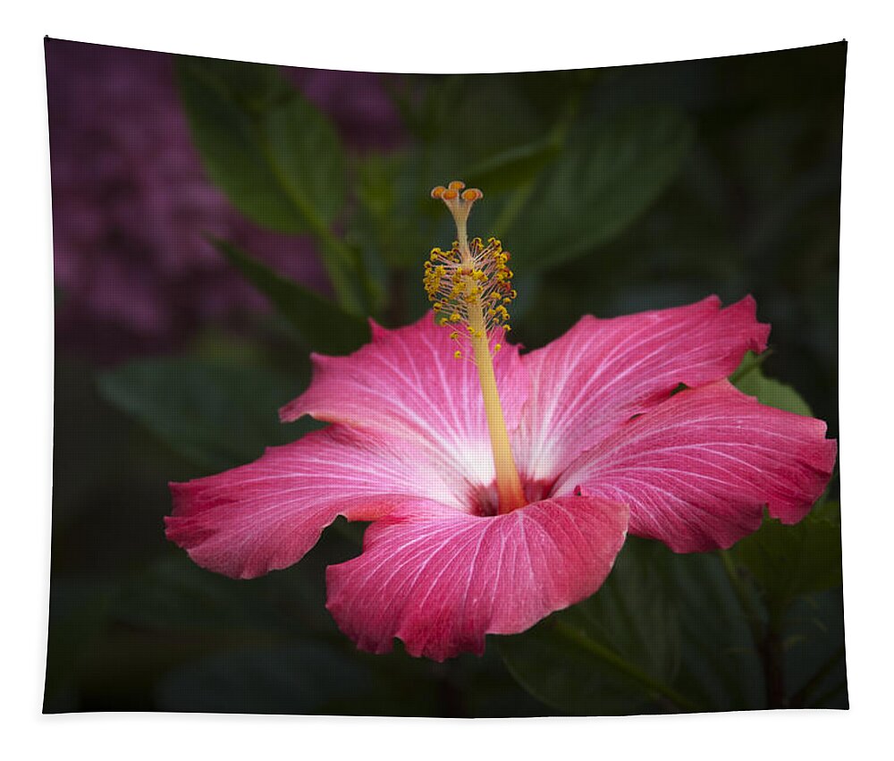 Flower Tapestry featuring the photograph Praise be to GOD by Penny Lisowski