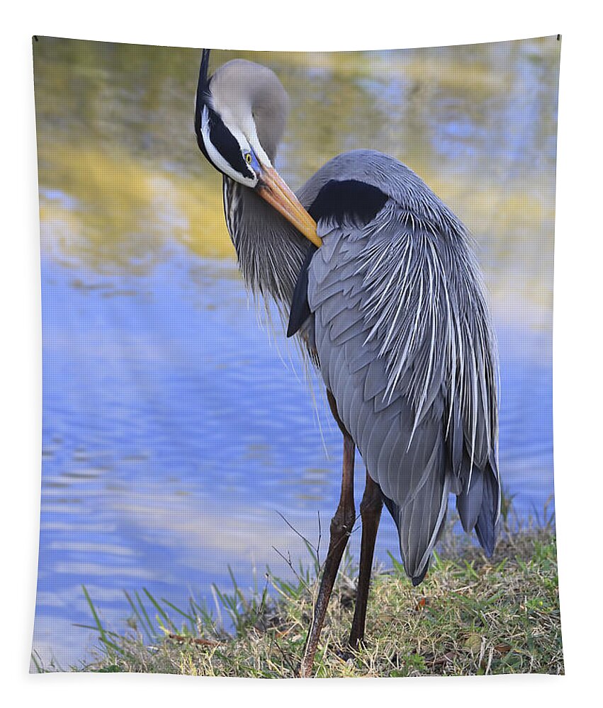 Blue Heron Tapestry featuring the photograph Preening By The Pond by Deborah Benoit